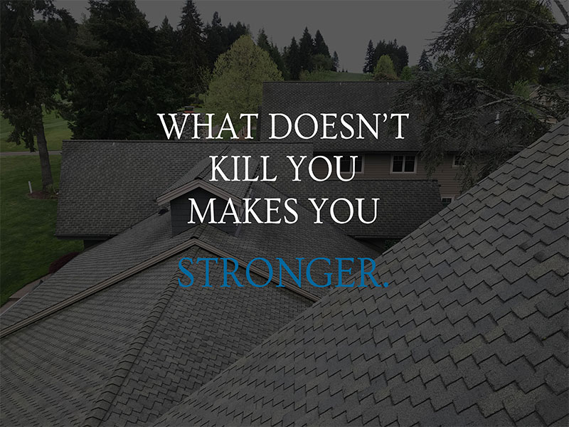 Blog-Post-1-What-Doesn’t-Kill-You